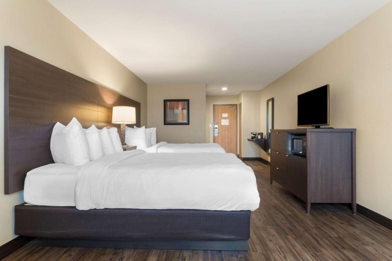 Best Western Plus Saint John Hotel & Suites Zewnętrze zdjęcie