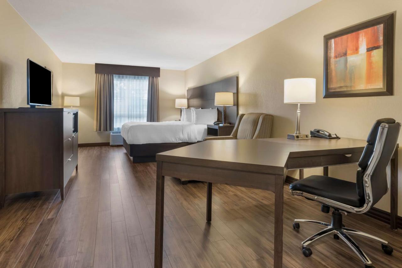 Best Western Plus Saint John Hotel & Suites Zewnętrze zdjęcie